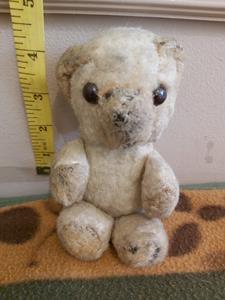 Teddy