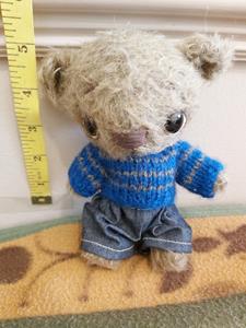 Teddy