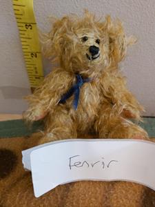 Teddy