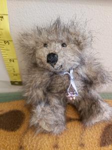 Teddy