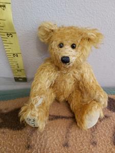 Teddy