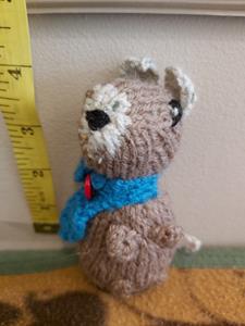 Teddy