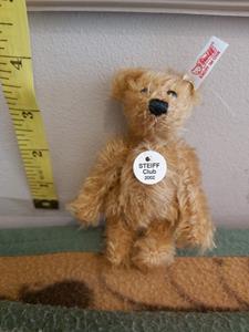 Teddy