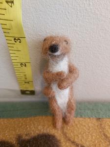 Teddy