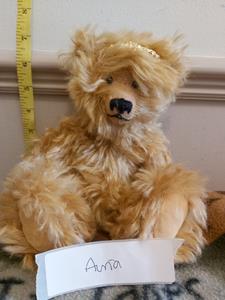 Teddy