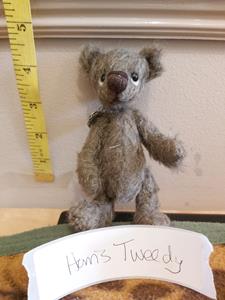 Teddy