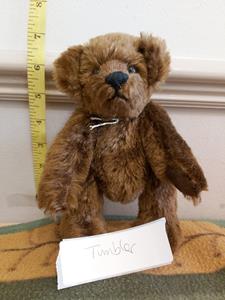 Teddy