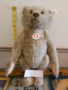 Teddy