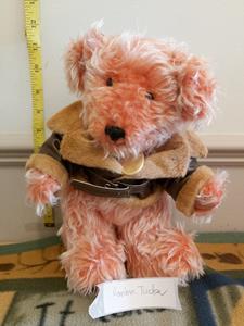 Teddy