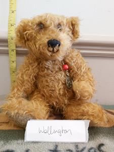 Teddy