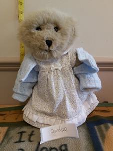 Teddy