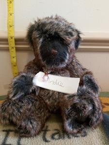 Teddy