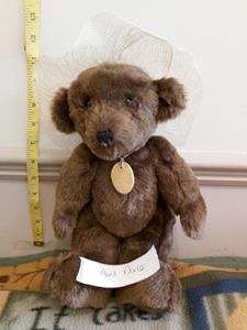 Teddy