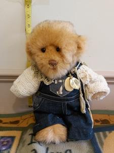 Teddy