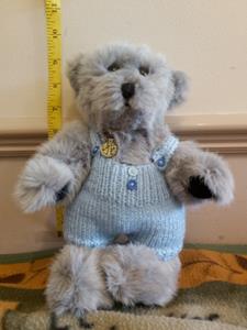 Teddy