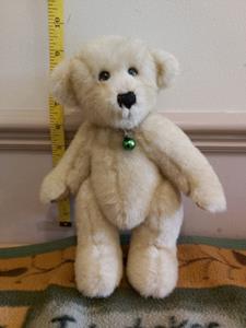 Teddy