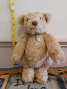 Teddy