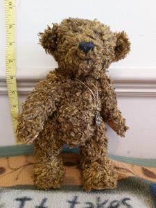 Teddy