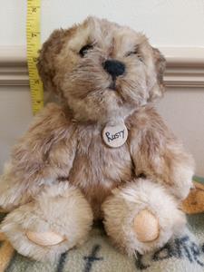 Teddy