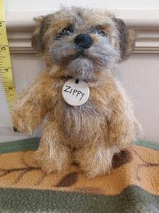 Teddy