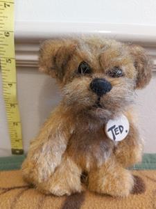 Teddy