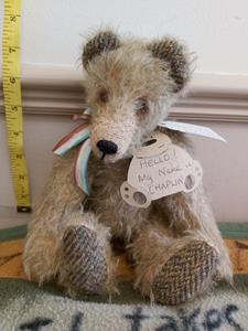 Teddy