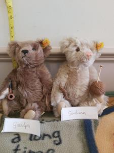Teddy