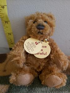 Teddy