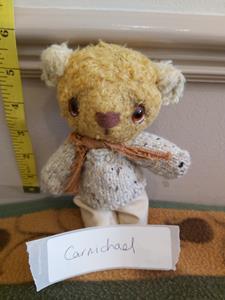 Teddy
