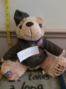 Teddy
