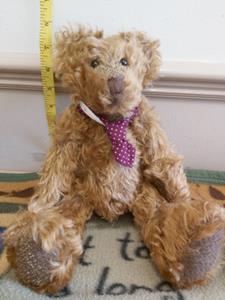 Teddy