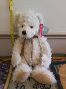 Teddy