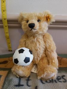 Teddy