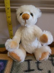Teddy