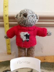 Teddy